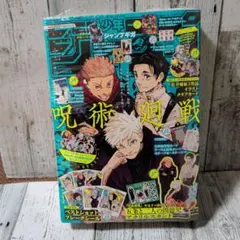 Item thumbnail for item 26fff2b5-2e25-4463-94c7-b1d7fa77223c