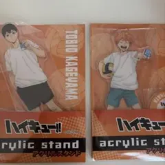 日向翔陽 影山飛雄