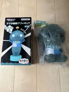 エニマイくじ 教育番組 タマ ラストワン賞 A賞 C賞 D賞 F賞 - メルカリ