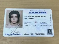 THE SIN：VANISH JAKE K-POP 永久ライセンスカード