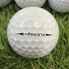 ロストボール ⭐︎Titleist -Pro V1x ⭐︎4449