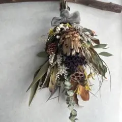 プロテア インテリア