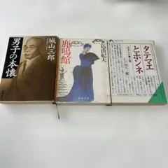 Item thumbnail for item aa906405-4add-465a-97e6-5a82151189aa