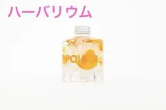 hikka ハーバリウム オレンジ 飾り インテリア 花