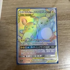 ライチュウ&アローラライチュウ