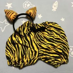 Item thumbnail for item 73afa490-e88b-4039-a799-a2bfc8c1fc13