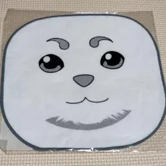 定春　銀魂　ミニタオル