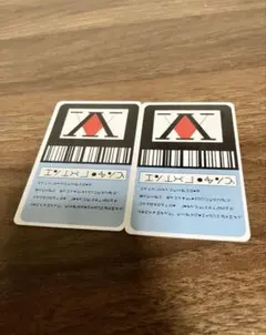 ハンターライセンス　2枚