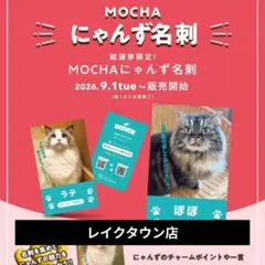 猫カフェmocha　総選挙名刺　レイクタウン店