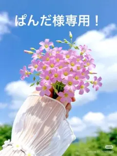 ぱんだ様専用！