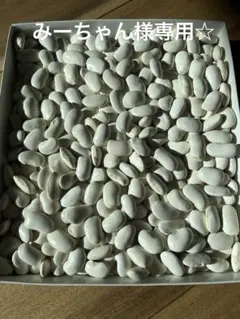 みーちゃん様専用☆