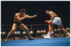 ボクシング チャンピオン パーネル・ウィテカー 直筆サイン入りフォト