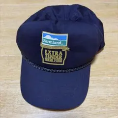 Farmland スナップバック キャップ ネイビーのサムネイル