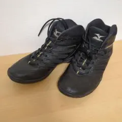 2025年最新】ミズノ フィットネスシューズ 23.5の人気アイテム