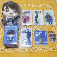 渡辺翔太 Snow Man すのチルBIGぬい ソフビアクスタミラーステッカー