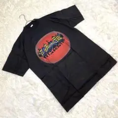 未使用 半袖アートTシャツ (M) アムステルダムロゴ 街並み コットン100%