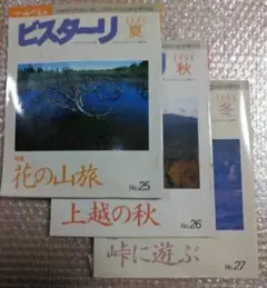 ビスターリ 1995