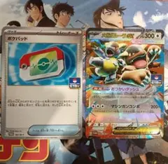 ポケパッド　メガガルーラex ジムプロモ　ポケカ　ポケモンカードゲーム　30周年