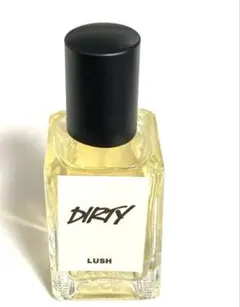 【ほぼ未使用】 ラッシュ ダーティー 100ml LUSH DIRTY 香水 d9f0aec4a1afcf2ba75f0422ebddec