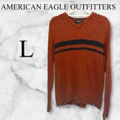 AmericanEagleOutfitters リブ編みVネックセーター 【L】