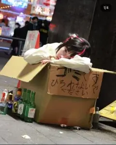 Item thumbnail for item 79243d16-6588-4c53-a2c1-680333a0549f