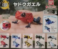 いきもの大図鑑　ヤドクガエル　ガチャ　全5種セット