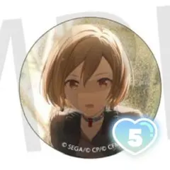 プロセカ 41A グリ缶 MEIKO