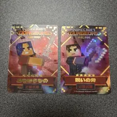 マイクラダンジョンズ　カード2枚セット