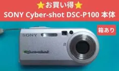 動作確認済】SONY Cyber-shot DSC-P9 箱説メモリーカード付 - メルカリ