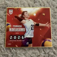 バレーボール女子日本代表 中川つかさ トレーディングmini色紙 - メルカリ