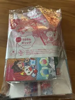チャレンジ 5年生 2023年版 セット 4～8, 10～3月号（9月号以外） チャレンジ 5年生 2023年版 セット 4～8, 10～3月号（9月号以外