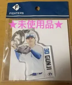 日ハム ファイターズ ファイターズいいね！シリーズ 田中正義 アクキー