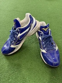 ミズノ　ランニングシューズ　アップシューズ　トレーニング　オーダー　青　ブルー