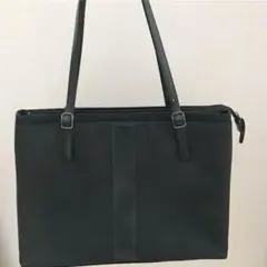 Item thumbnail for item a6f01b0d-2856-4156-96a5-5cb78beaca20