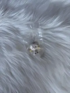 HUNTER×HUNTER めじるしアクセサリー　キメラアント編 コムギ