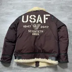 美品 AVIREX 70周年 限定 B-3 ダウンジャケット USAF ムートンのサムネイル