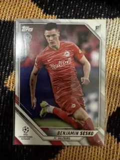 Item thumbnail for item 2e785d18-c212-43c4-a071-475b10f62ecb