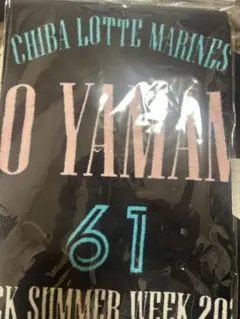 千葉ロッテマリーンズ　山本大斗　BSW タオル