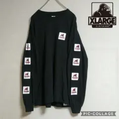 ❮美品☆❯エクストララージ ロンT ウォーキングエイプ
