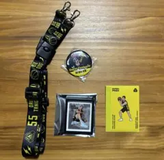 Item thumbnail for item c941d25e-e6d3-4445-9edd-16332b29ba8f