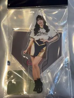 BsGravity2025 アクリルスタンドキーホルダー　NUI