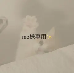 mo様専用ページ