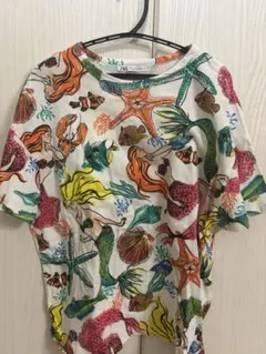 限定値下げ中 ZARA 半袖 Tシャツ