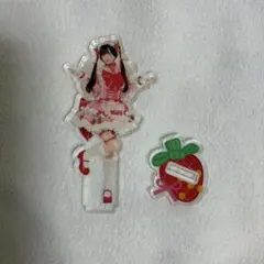 にこ※プロフ必読様専用