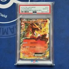 2026年最新】MリザードンEX RR psa10の人気アイテム - メルカリ