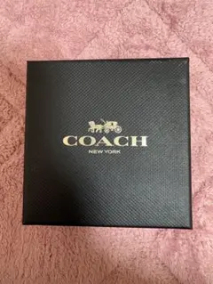 COACH ピアス 片耳用 ストーン付き