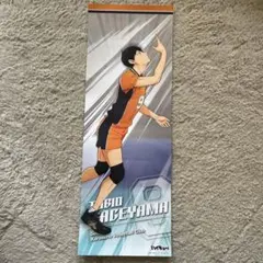 ハイキュー‼︎ 日向翔陽 影山飛雄 新シリーズ決定ポスター ジャン