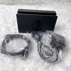 ニンテンドースイッチ 純正ドッグ HDMI ACアダプター セット