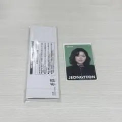 TWICE THISISFOR うちわグリップカバー ジョンヨントレカ付き