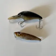 Item thumbnail for item 01ef0316-51bb-47f3-9d73-e6eacfa46d77